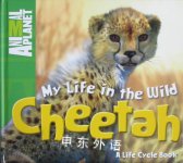 Animal Planet My Life in the Wild: Cheetah Meredith Costain
