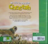 Animal Planet My Life in the Wild: Cheetah