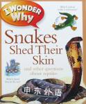 I Wonder Why Snakes Shed Their Skin Amanda O Neill