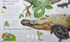 I Wonder Why Snakes Shed Their Skin
