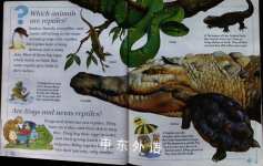 I Wonder Why Snakes Shed Their Skin and Other Questions About Reptiles