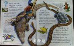 I Wonder Why Snakes Shed Their Skin and Other Questions About Reptiles