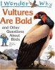 I Wonder Why Vultures Are Bald: and Other Questions About Birds