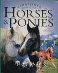 Horses and Ponies (Kingfisher Riding Club) Sandy Ransford