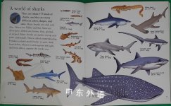 The Best Book of Sharks