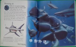 The Best Book of Sharks