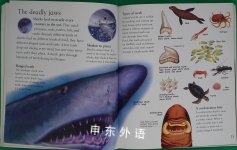 The Best Book of Sharks