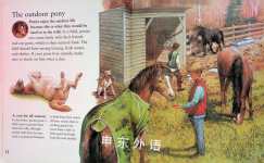 The Best Book of Ponies