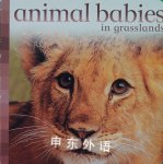 Animal Babies in Grasslands Kingfisher