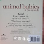 Animal Babies in Grasslands