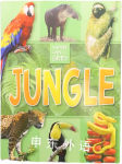 What Can I See?Jungle Chancellor Press
