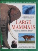 Large Mammals