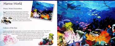 Life Under the Ocean