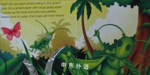 Bugs : A Sparkle Board Book