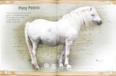 My First Pony: Everything You Need to Know about