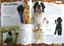Caring for Dogs and Puppies