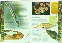 Great Book Of Predatory Animals