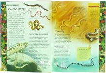 Great Book Of Predatory Animals