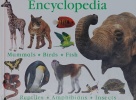 First Animal Encyclopedia (First Animal Encyclopedia)