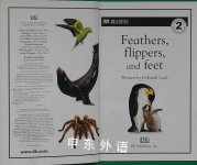 DK Readers: Feather Flippers and Feet