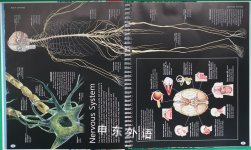 Body: An Amazing Tour of Human Anatomy