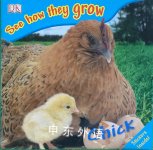 Chick See How They Grow DK Publishing