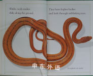 DK Readers L2: Slinky, Scaly Snakes 