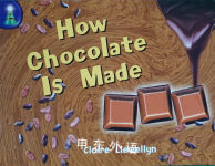 Rigby Lighthouse: Individual Student Edition (Levels J-M) How Chocolate Is Made RIGBY