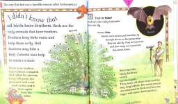 I Didnt Know That Some Birds Hang Upside Down and Other Amazing Facts About Birds