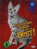 Egyptian Maus Are the Best! (The Best Cats Ever)