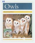 Owls Elizabeth RussellArnot