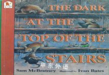 The dark at the top of the stairs Sam McBratney and Ivan Bates
