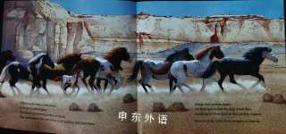 Little Pinto and the Wild Horses of Mustang Canyon