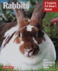 Rabbits Complete Pet Owners Manual