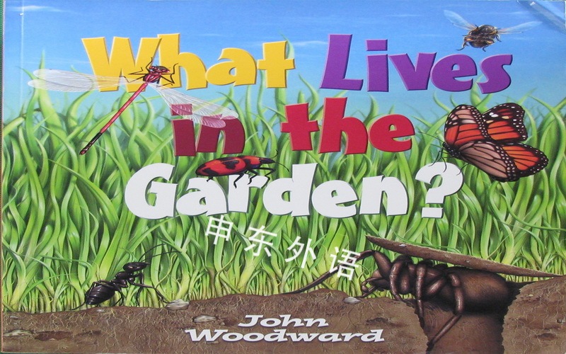 what-lives-in-the-garden