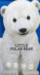 Little Polar Bear (Look at Me Books (Barron's)) Barrons
