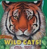 Wild Cats! Know-It-All Series