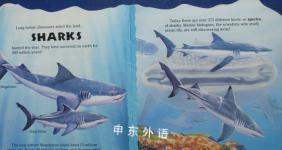 Sharks! Know-It-Alls