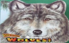 Wolves! Know-It-Alls Christopher Nicholas