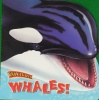 Whales! Know-It-Alls Ser