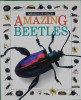 Amazing beetles