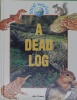 A Dead Log (Small Worlds)