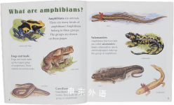 Frogs and Other Amphibians