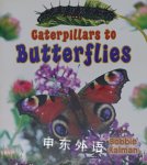 Caterpillars to Butterflies Bobbie Kalman
