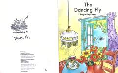 The Dancing Fly