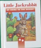 Little Jackrabbit: At home in the desert