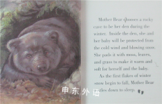 Bear cub: At home in the forest