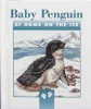 Baby penguin: At home on the ice