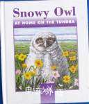 Snowy owl at home on the tundra Sarah Toast