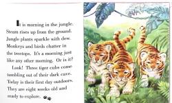 Tiny Tiger AT HOME IN THE JUNGLE